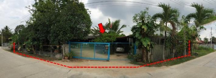 ขายบ้านเดี่ยว                บางละมุง ชลบุรี (PKT91630)
