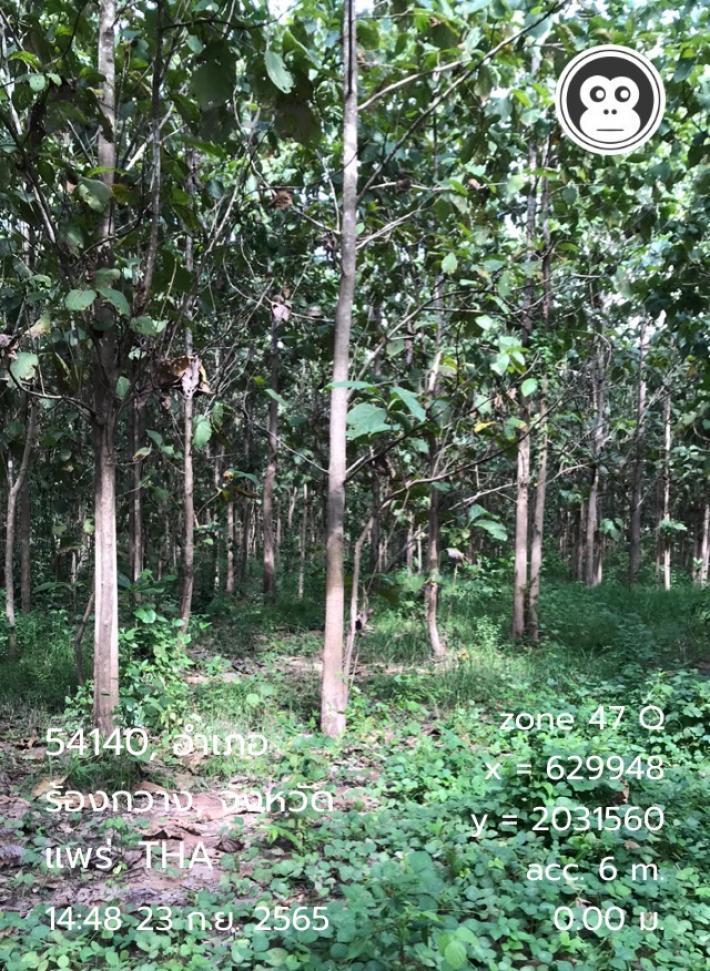 ขายที่ดินพร้อมสวนไม้สักทอง เนื้อที่ 40 ไร่ อยู่ในพื้นที่ชุมชน อำเภอร้องกวาง จังหวัดแพร่ โทร 061 298 4753