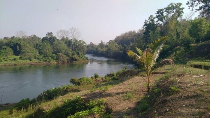 ขายสวนทุเรียนติดแม่น้ำแควน้อย ทองผาภูมิ กาญจนบุรี 86 ไร่  เป็นสวนทุเรียนและสวนส้ม 